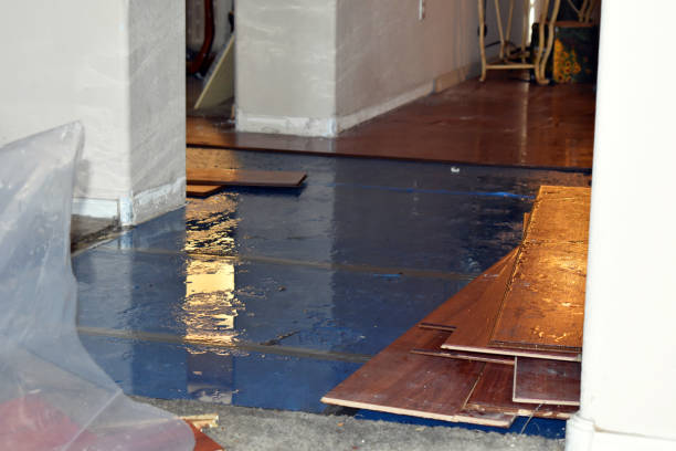 Professional Basement Flood Cleanup technician working in Three Rivers, MA
